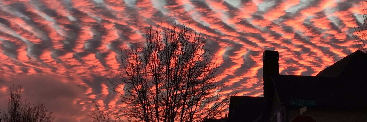 Punjabi_DadMD banner