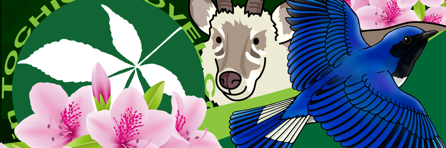 tobucchi's profile banner image
