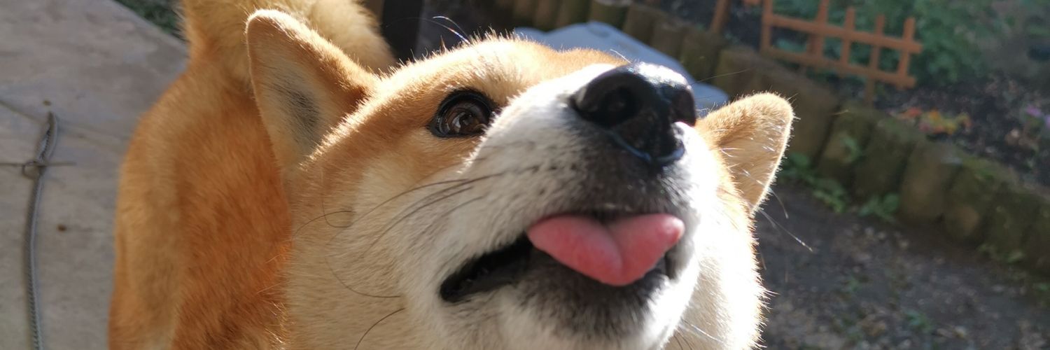 dogasiko's profile banner image