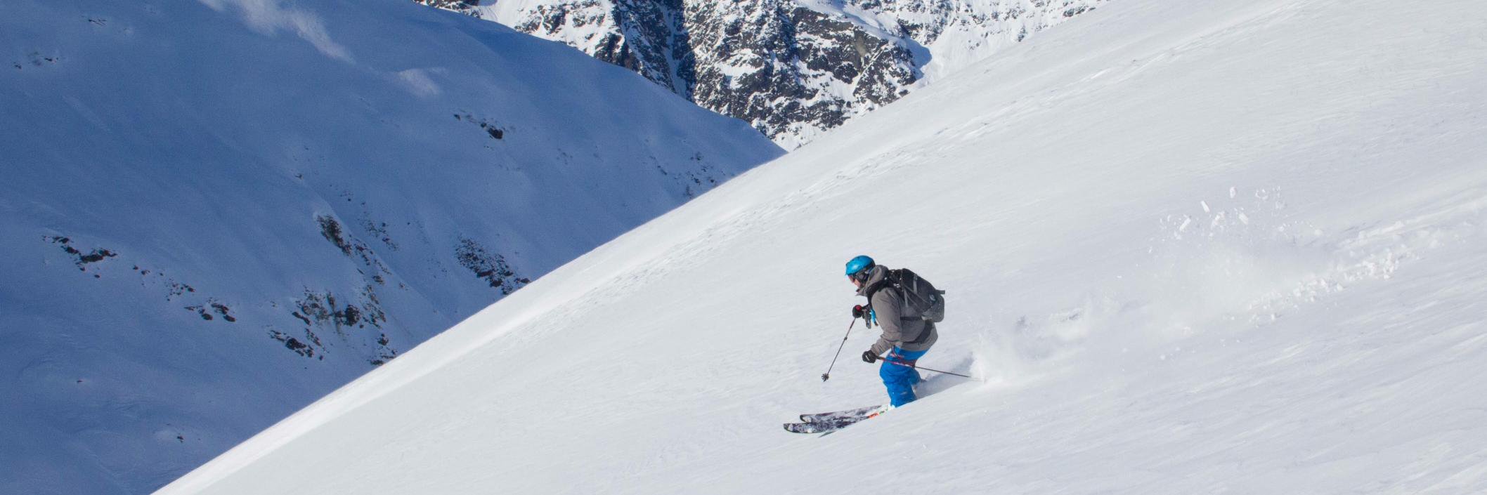 Will Schwarzenbach banner