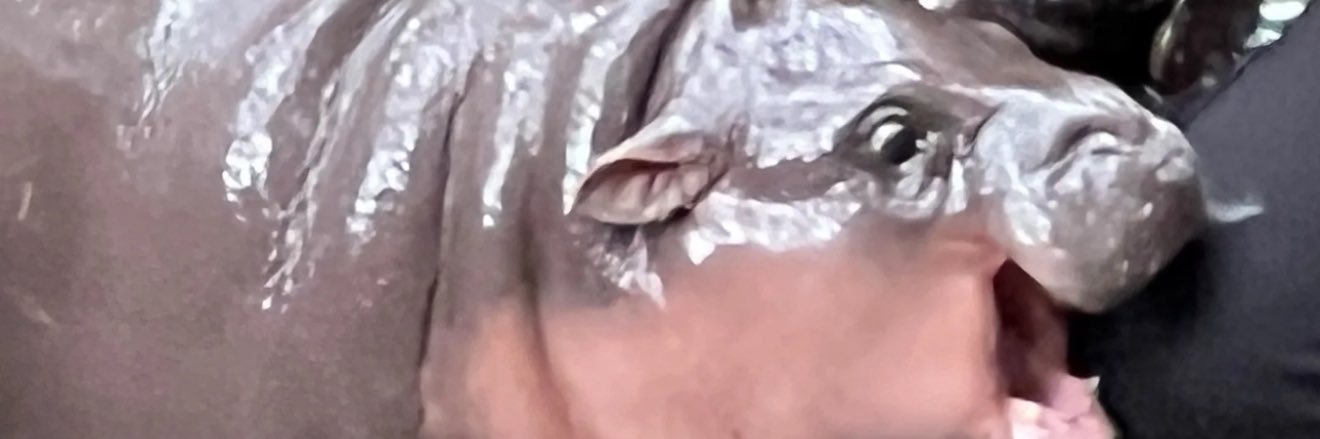 gthenerd's profile banner image