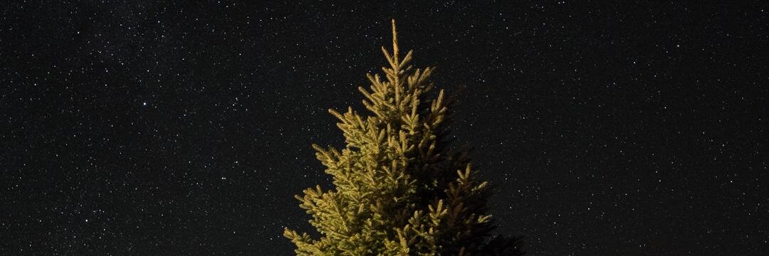 brownparkere's profile banner image