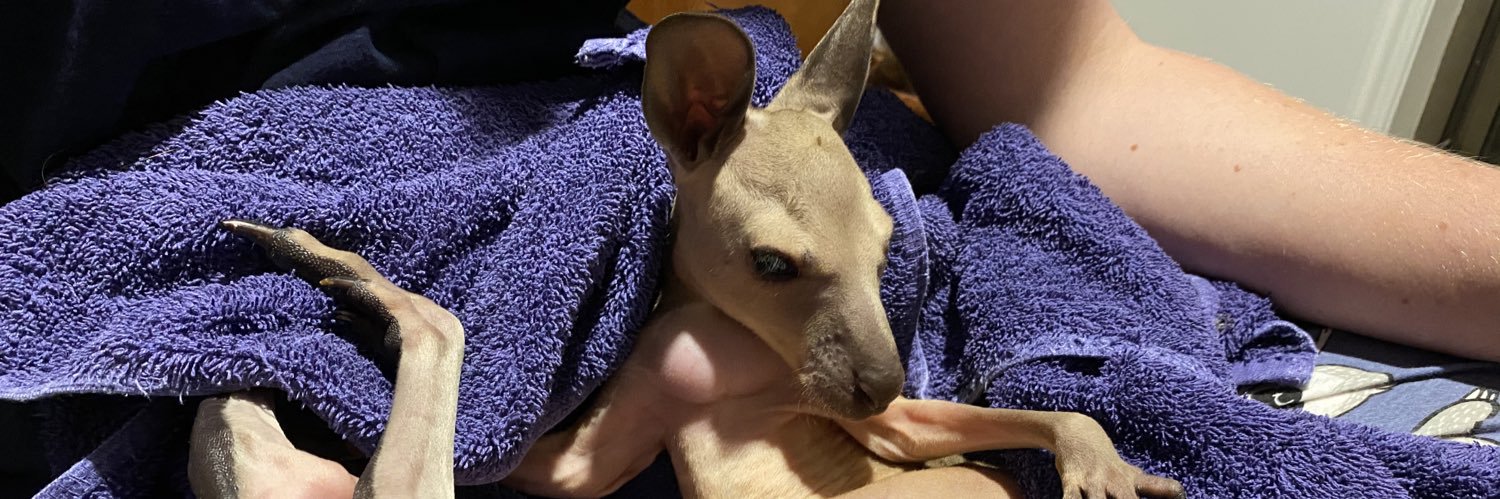 dirrtydog000000's profile banner image