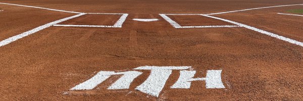 nhtsoftball Profile Banner