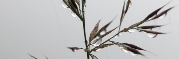 İrfan Tiryaki 🇹🇷 banner