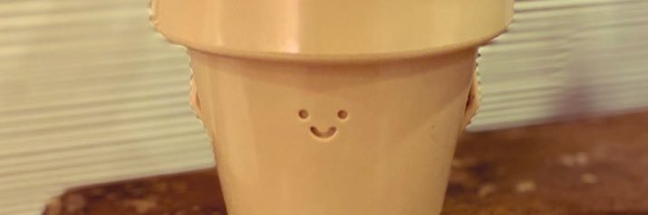 PriscilaPDmz's profile banner image