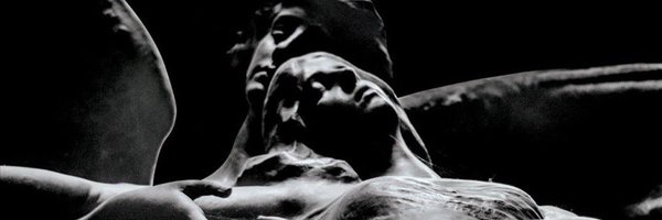 BERRYFlED Profile Banner