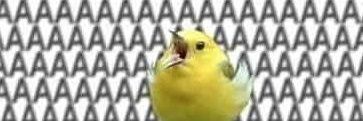 EldritchBimbo69's profile banner image