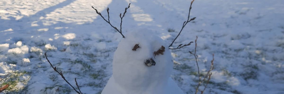 ayaa_bo's profile banner image