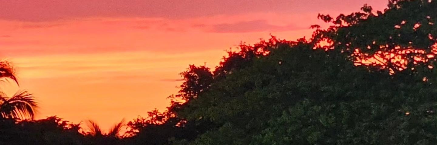 Mel_asp's profile banner image
