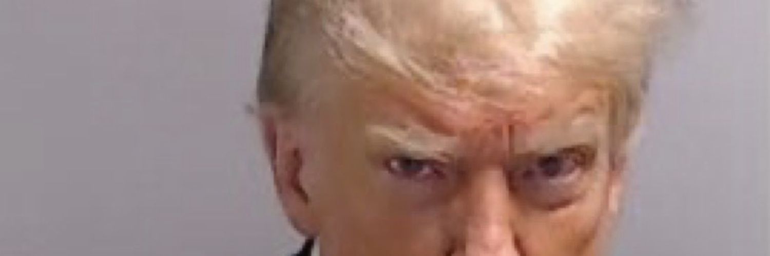 rheinstein rex banner