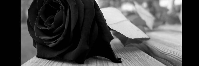 Arnaldo - Carpinteiro 🇧🇷🇧🇷🇧🇷🇧🇷🇮🇱🦾🙏 banner