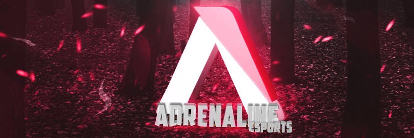 Adrenaline eSports banner