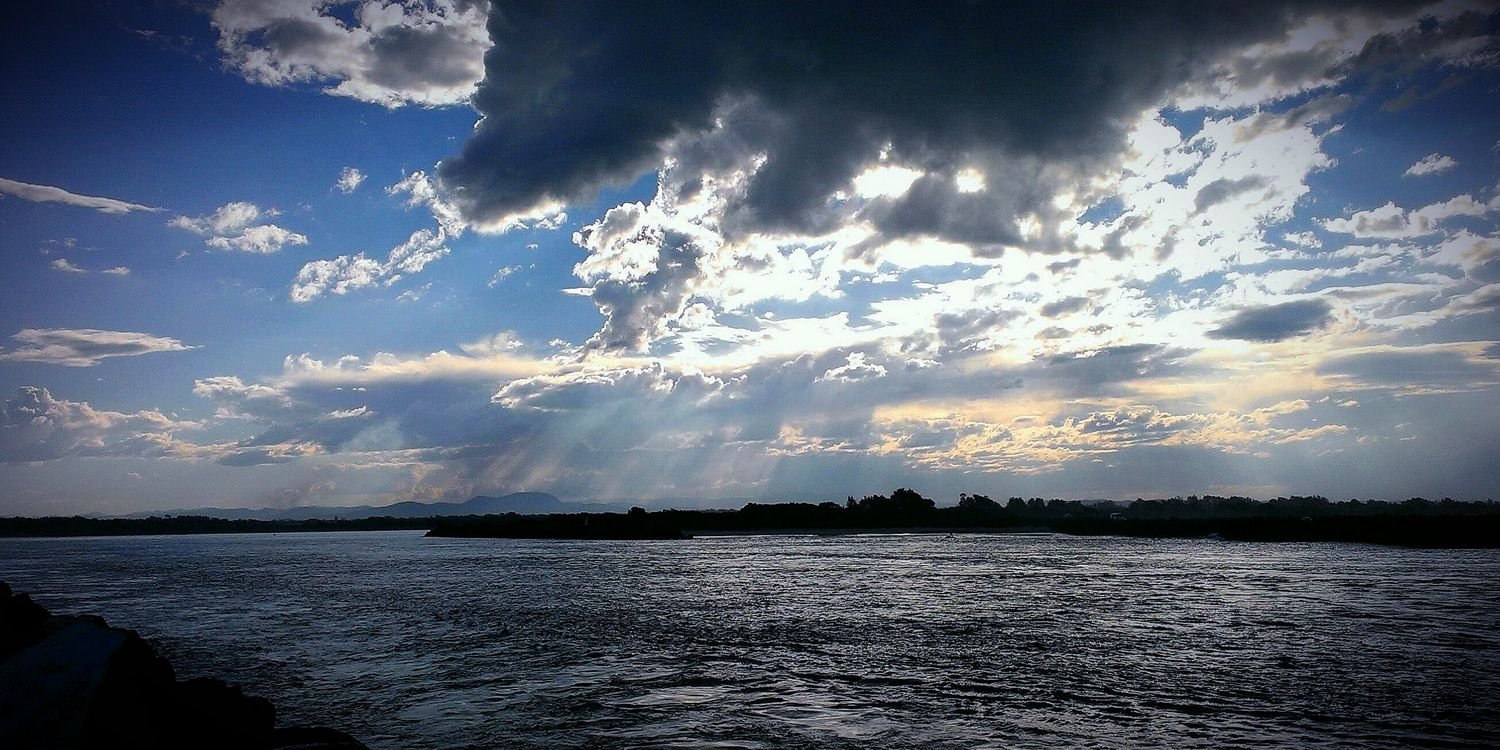 Jeff the Nemophilist* ☘🌲🦘🌳🦉 📖🎾🦜 banner