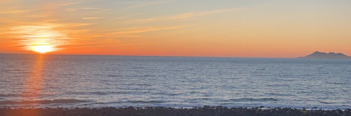 P banner