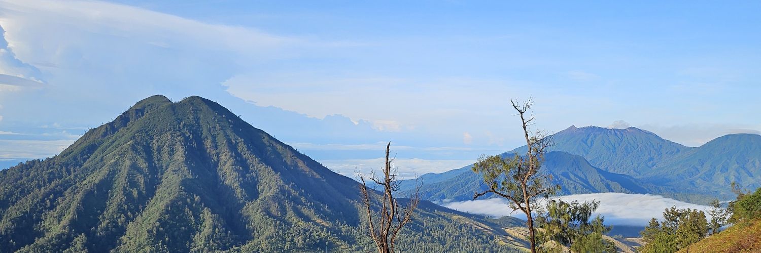 __bisasendiri's profile banner image