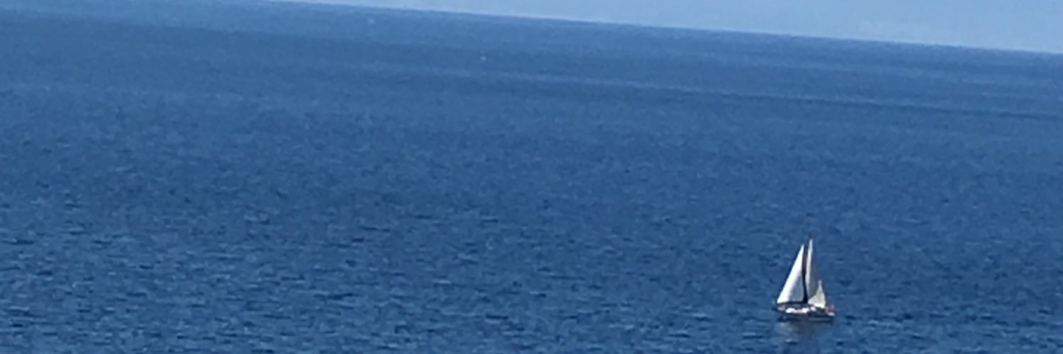 aylasasmaz's profile banner image
