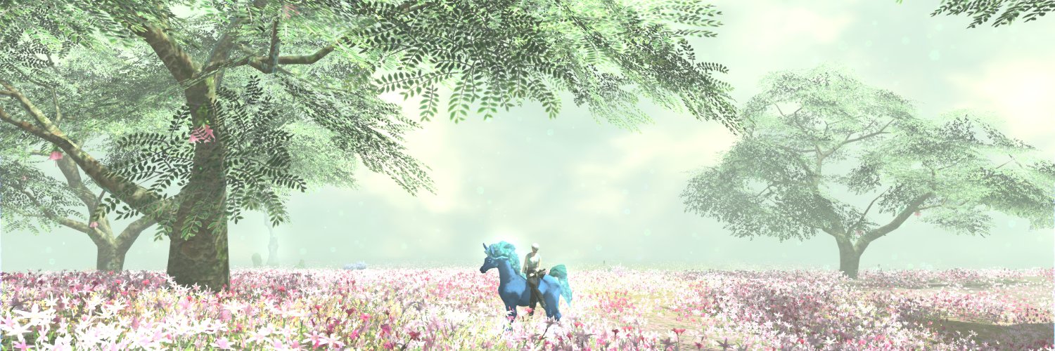 ねも banner