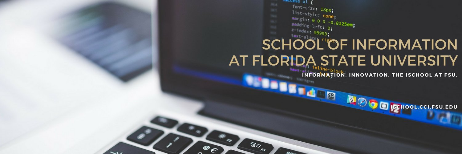 FSUiSchool's profile banner image