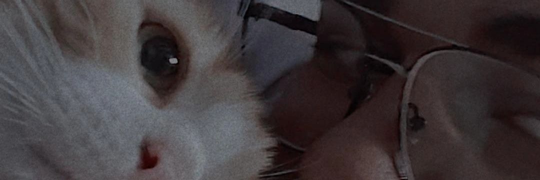 Kmacho👁️ banner
