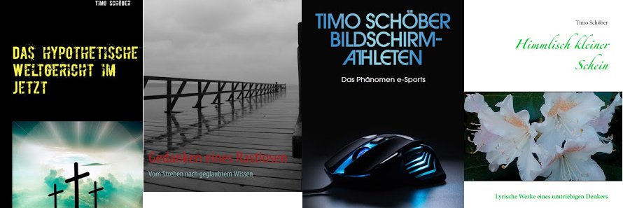 timoschoeber's profile banner image
