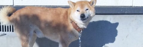 エバース 佐々木隆史 banner