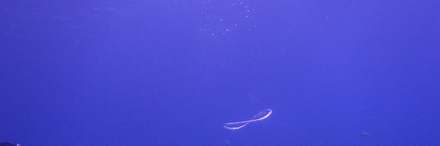 marcoFmu's profile banner image