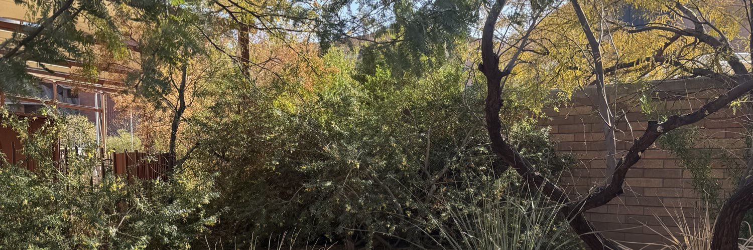 jengreene23's profile banner image