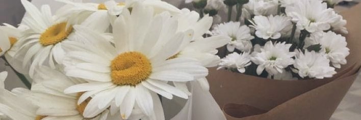 seldaaorss's profile banner image