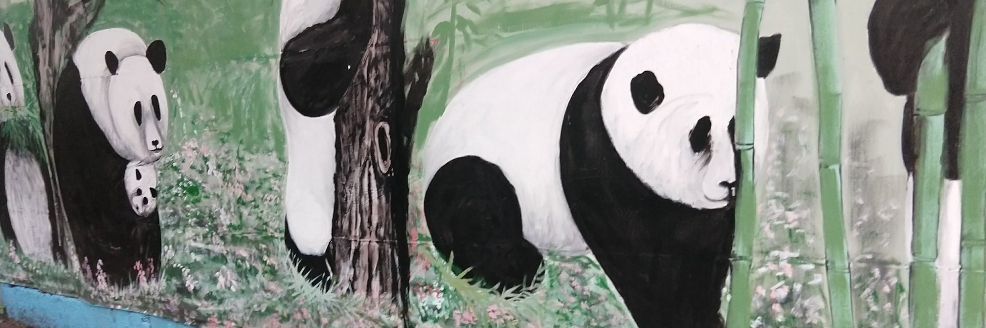 HAOMEI0309's profile banner image