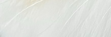hbmz404's profile banner image