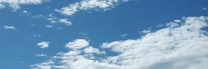 akaikoREDi's profile banner image