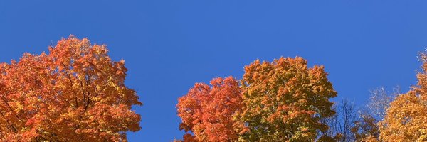 taniasterling Profile Banner