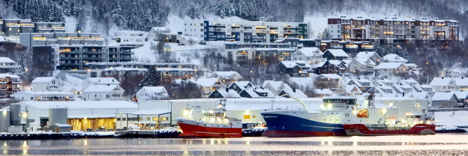 Alex Tiedemann 🇵🇸🔻 banner