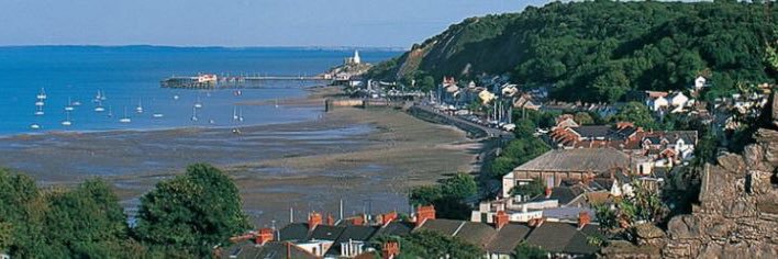 South West Wales Brain Injury Group banner