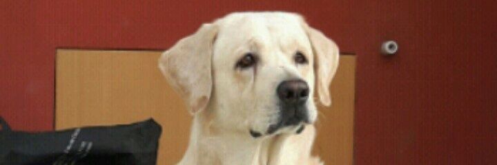 mitisha2287's profile banner image