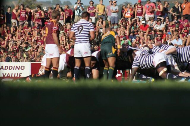 Louis Nel banner