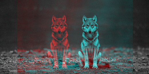 BauerxPower's profile banner image