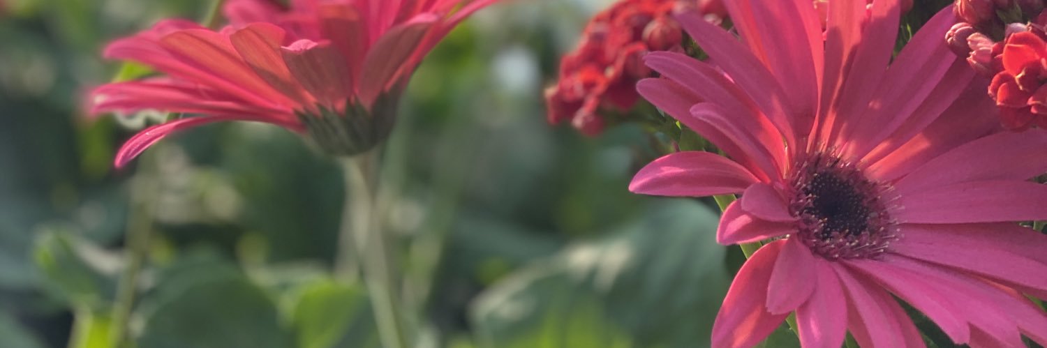 m2011m's profile banner image
