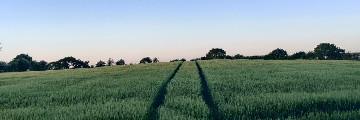 DewiMorris3's profile banner image