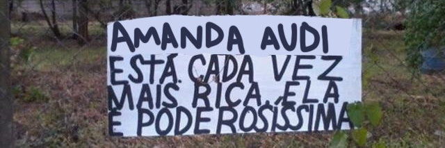 Amanda Audi's banner