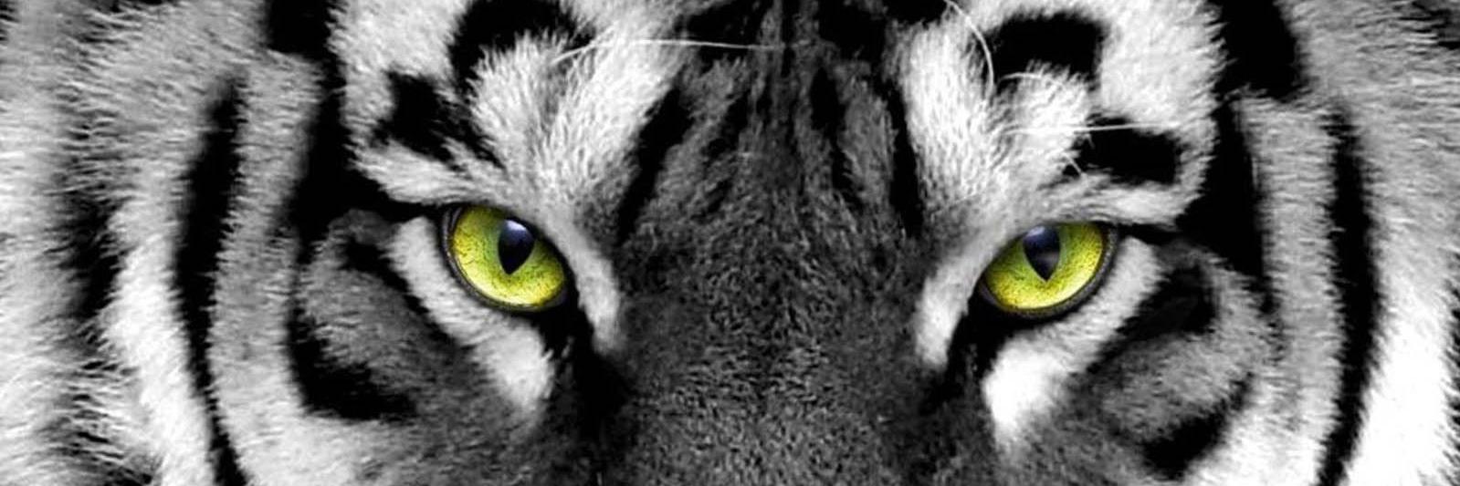ahmadsofwan38's profile banner image