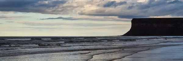 AndreaLaybourn Profile Banner