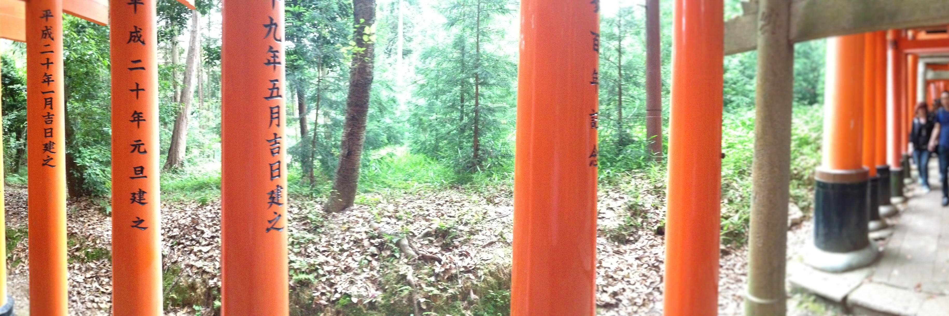 adamhirsch's profile banner image