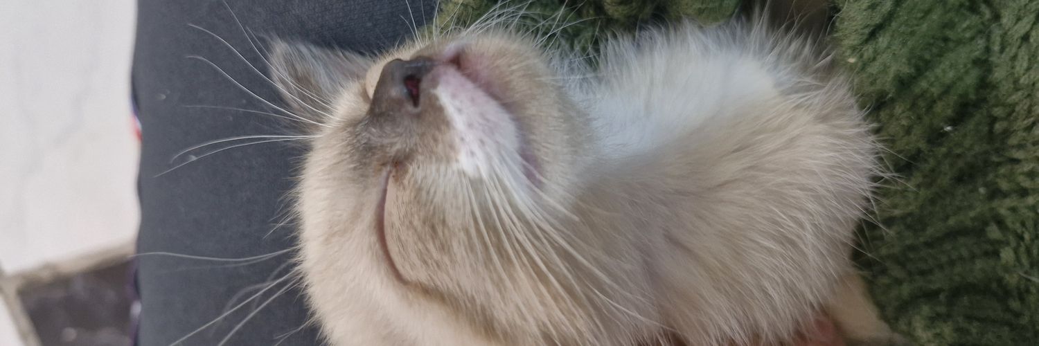 SamunaySis's profile banner image