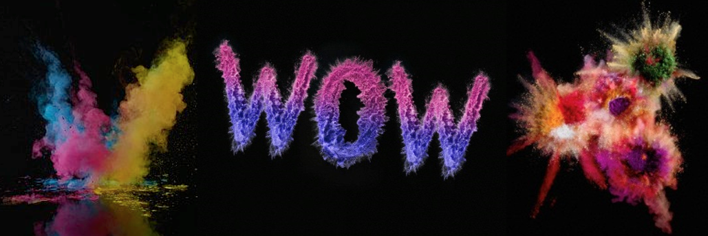 Monishka banner