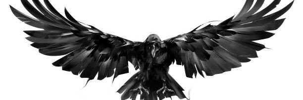 TheBriscoKid's profile banner image