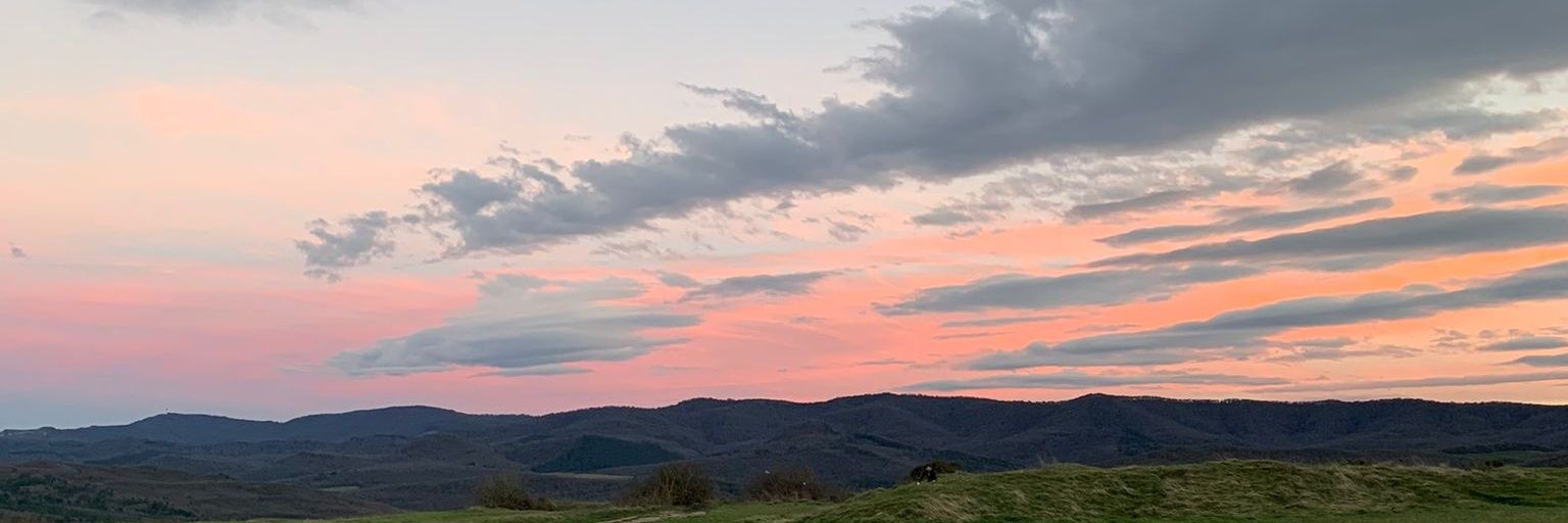 mcodinaa's profile banner image