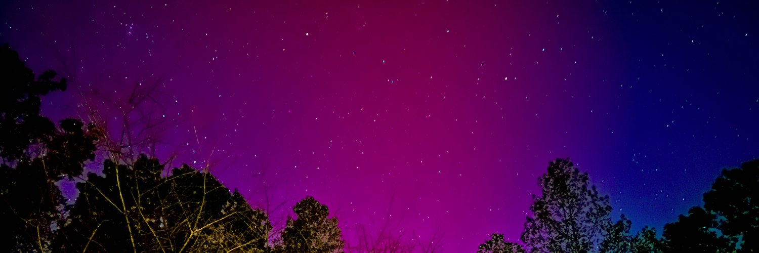 MrAGull ( ͡° ͜ʖ ͡°) banner