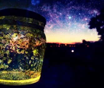 ash_velcich's profile banner image
